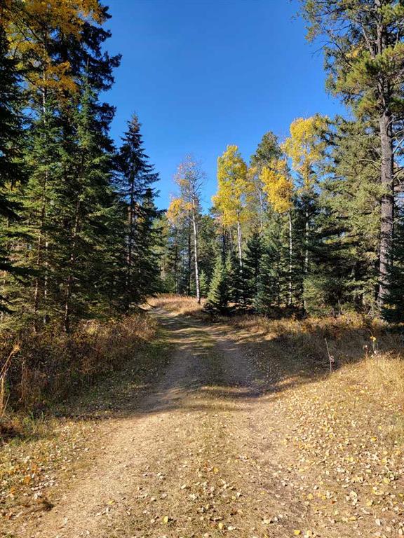 Picture for 36057 Range Road 43  
