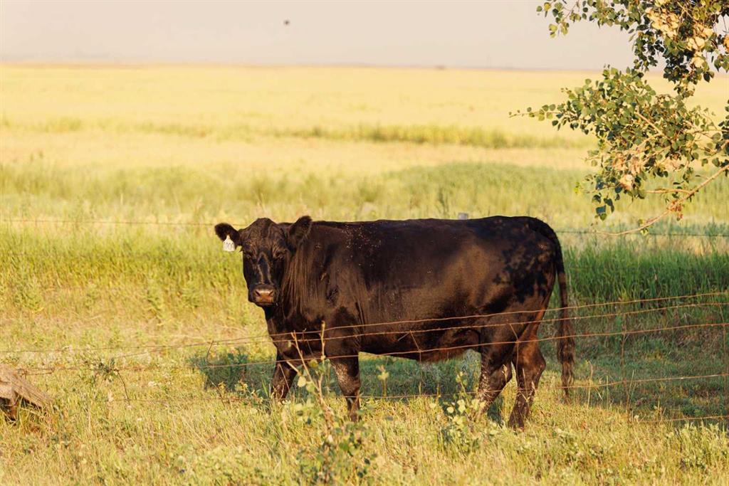 Picture for Parcel 7 Range Road 271 just south of Highway 9.  