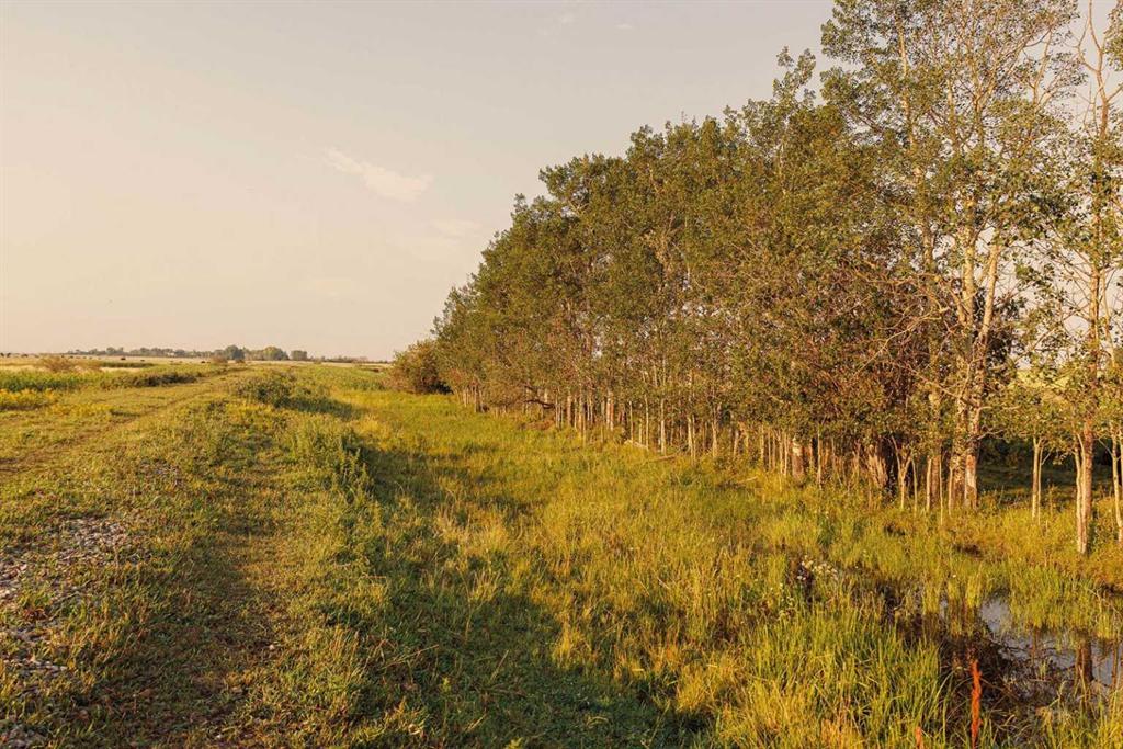 Picture for Parcel 7 Range Road 271 just south of Highway 9.  