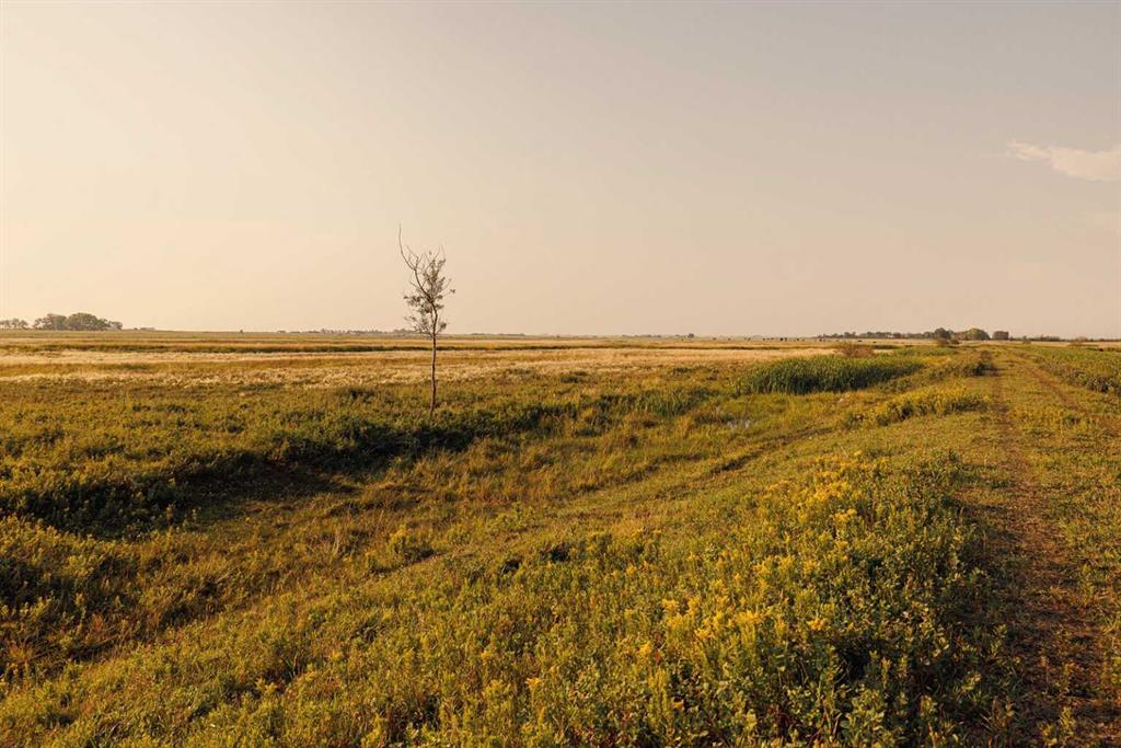 Picture for Parcel 7 Range Road 271 just south of Highway 9.  