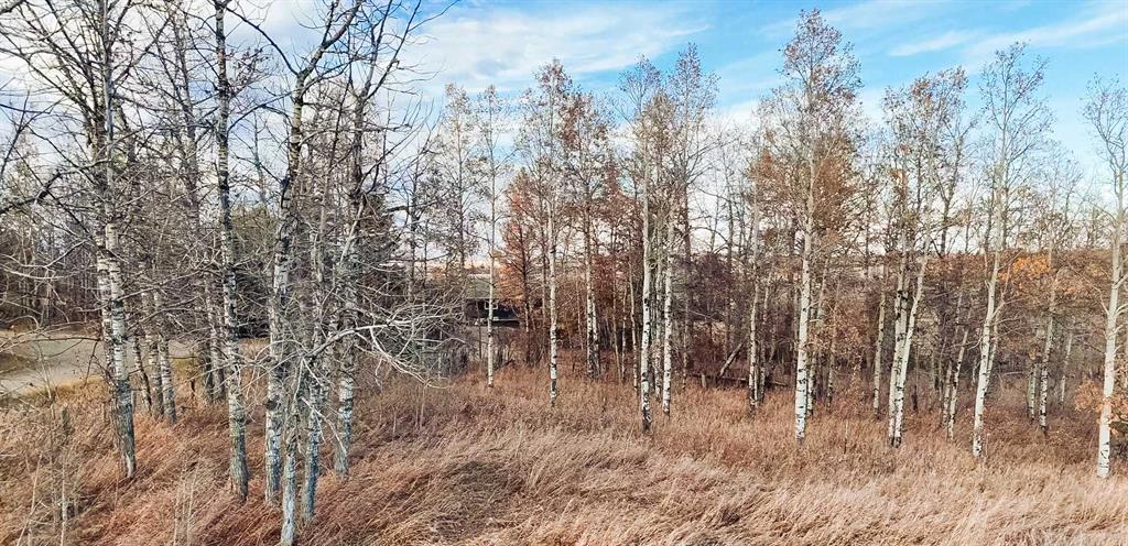 Picture for  Rge Rd 32A   https://www.cirrealty.ca/reb/creb/99/A2266399_15.jpg