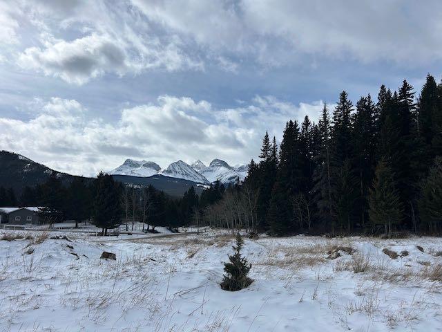 Picture for #8, 6308 25 Avenue 