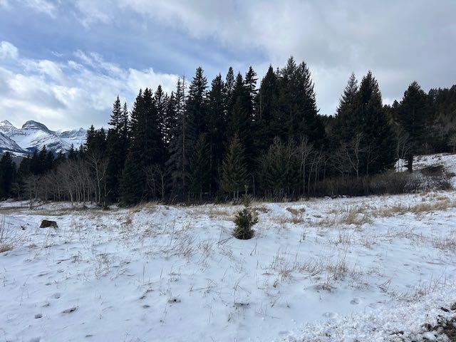 Picture for #8, 6308 25 Avenue 