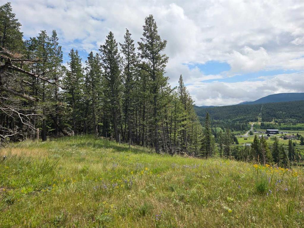Picture for #4, 5302 19th Avenue 