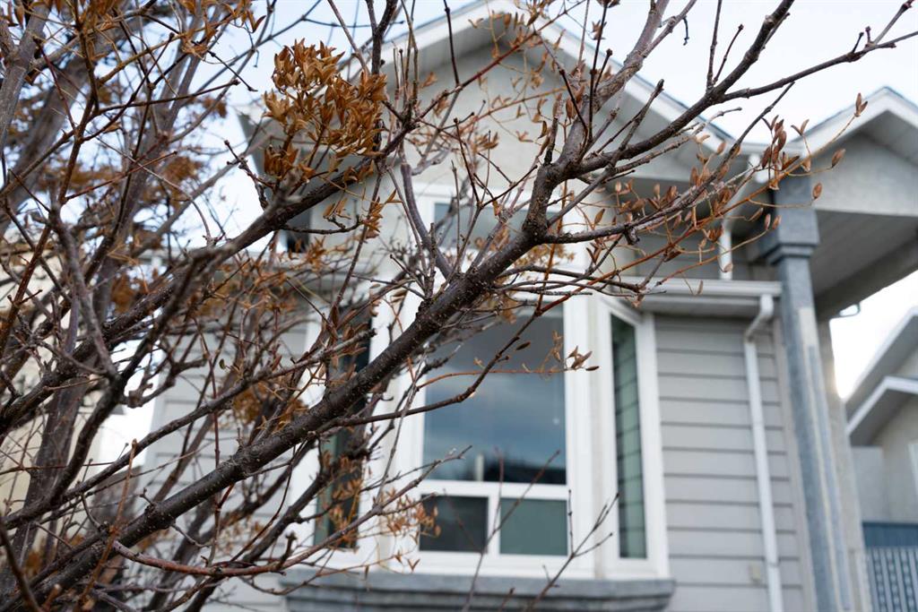 Picture for 10 Assiniboia Way W