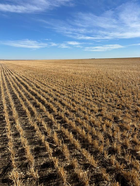 Picture for on RR 224  