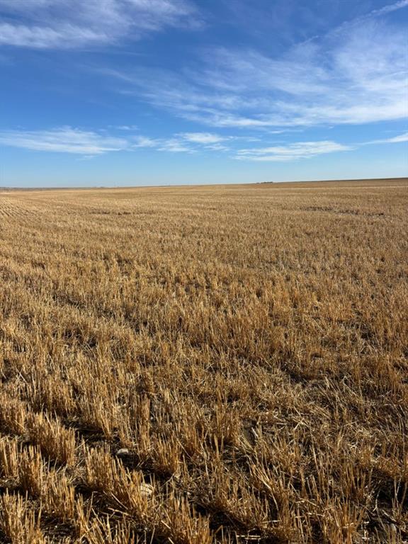 Picture for on RR 224  