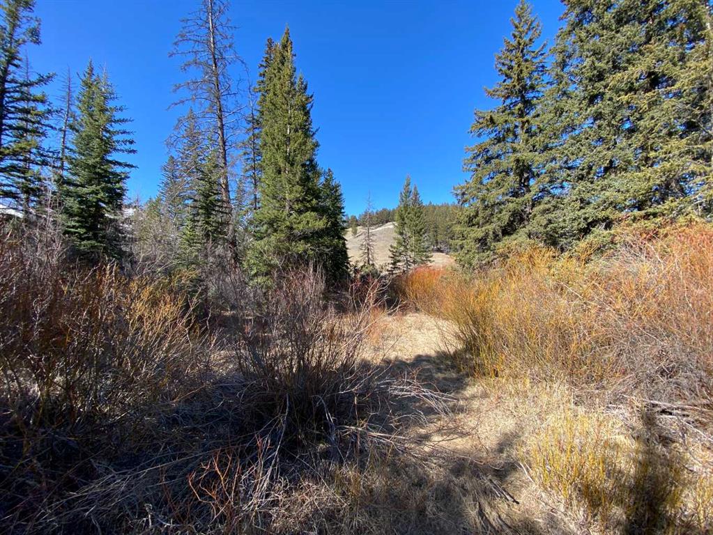 Picture for 5302 19 Avenue 