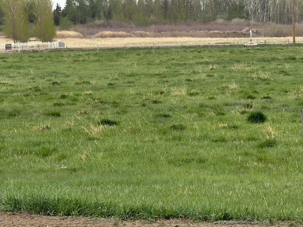 Picture for near Trans Canada Hwy 1 Acres 