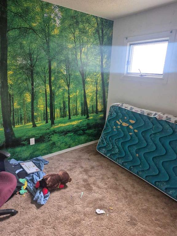 Picture for 52 8 Street SE