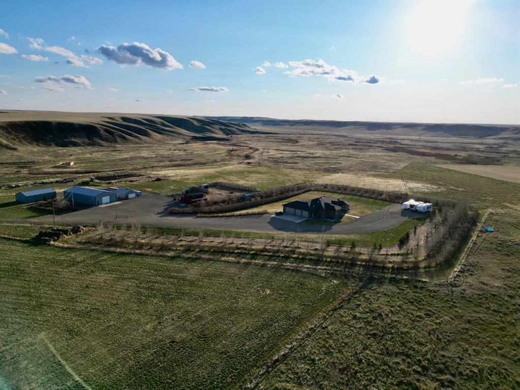 Picture for 11232 Black &amp; White Trail 