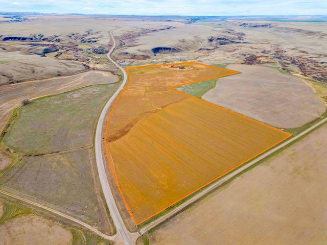 Picture for 11232 Black &amp; White Trail 