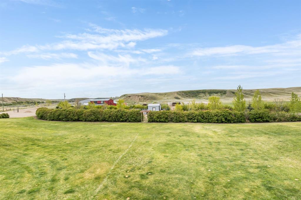 Picture for 11232 Black &amp; White Trail 