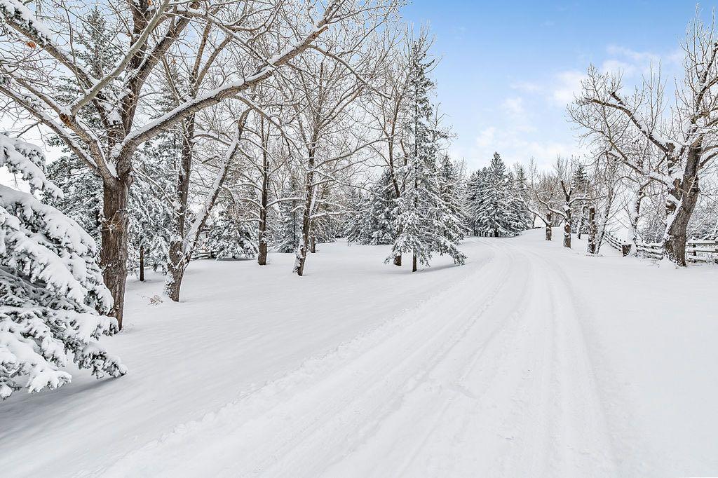 Picture for 258100 16 Street E