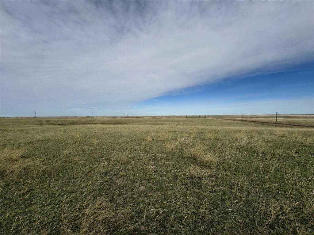 Picture for  Range Road 43  