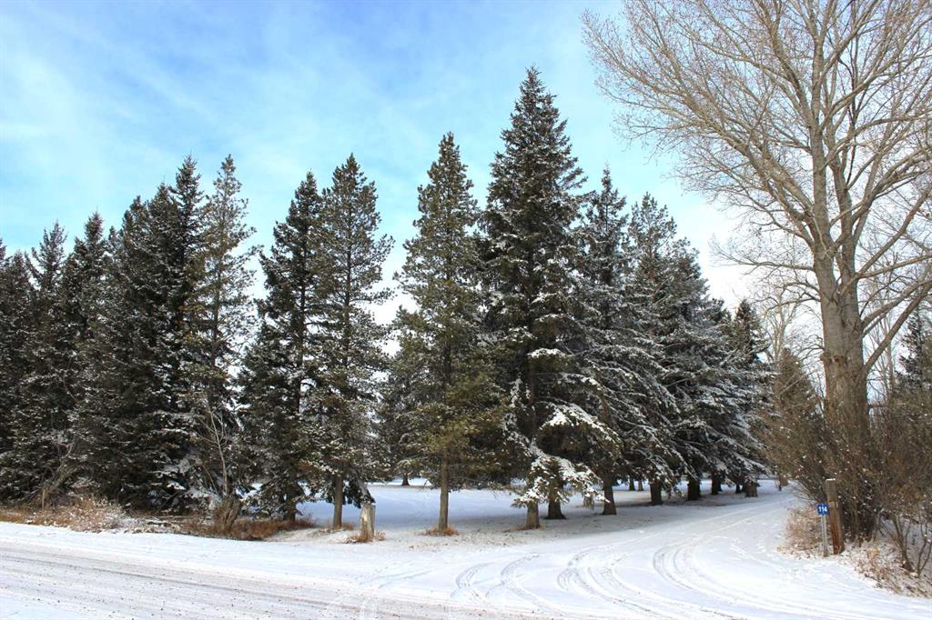 Picture for Blue Sign 114 145006 Cassils Rd Subdivision 