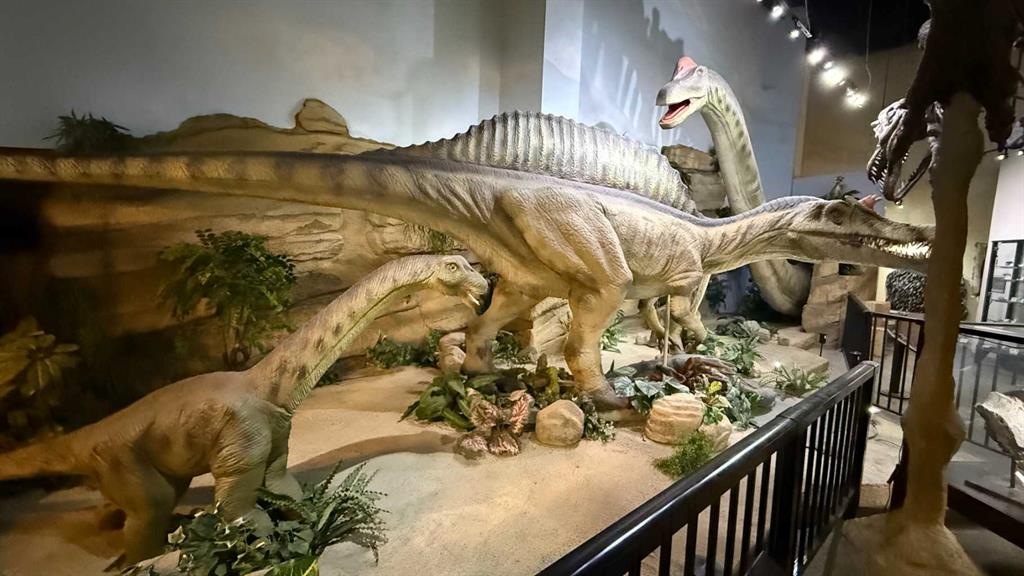 Picture for 1381 Dinosaur Trail N