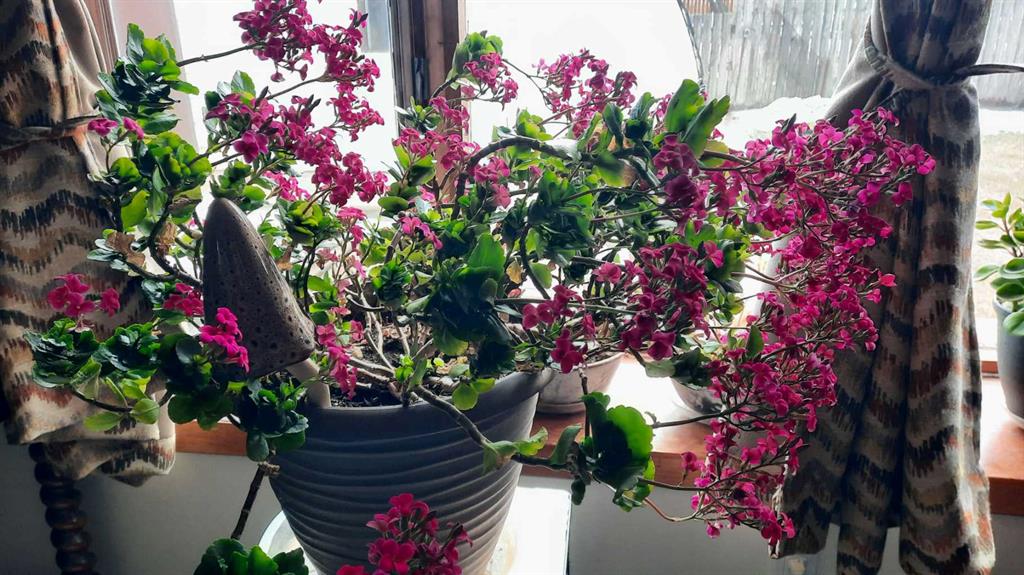 Picture for 1111 2 Avenue W