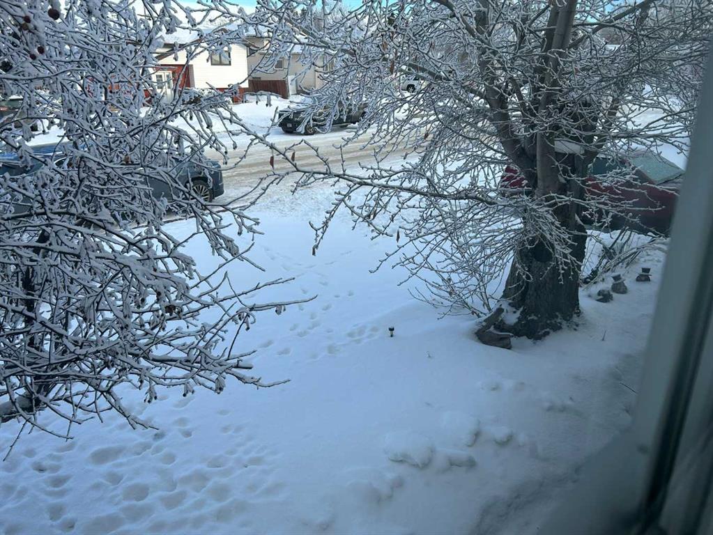 Picture for 4529 Shannon Drive 